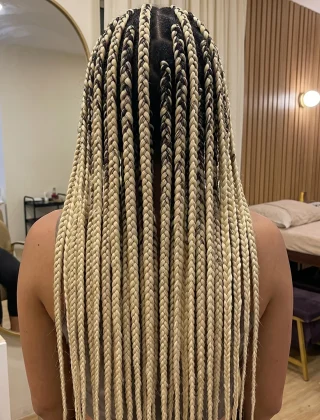 Blonde & Black Long Box Braids